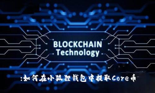 :如何在小狐狸钱包中提取Core币