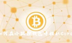 :如何在小狐狸钱包中提取Core币