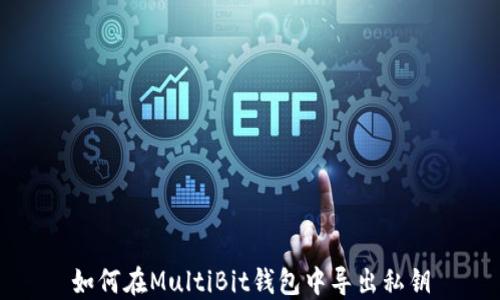 
如何在MultiBit钱包中导出私钥