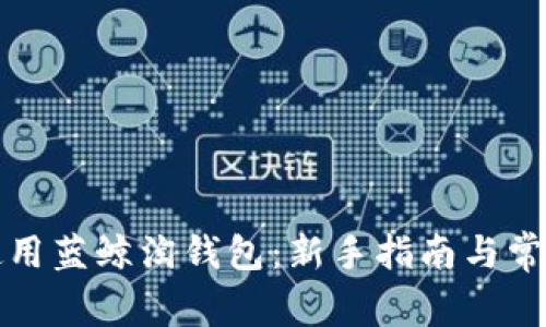 如何有效使用蓝鲸淘钱包:新手指南与常见问题解答