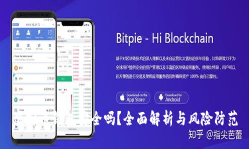 虚拟币钱包安全吗？全面解析与风险防范