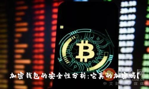 加密钱包的安全性分析:它真的加密吗?
