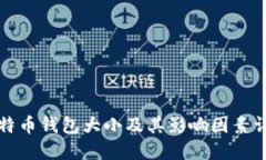 比特币钱包大小及其影响因素详解