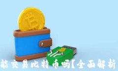 Token钱包能交易比特币吗?全面解析与实用指南