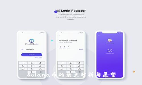 Solana币的弱点分析与展望