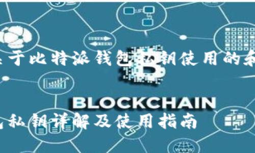 这是一个关于比特派钱包私钥使用的和文本示例。


比特派钱包私钥详解及使用指南