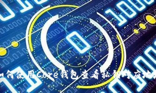 如何使用Core钱包查看私钥对应地址