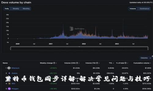 莱特币钱包同步详解:解决常见问题与技巧