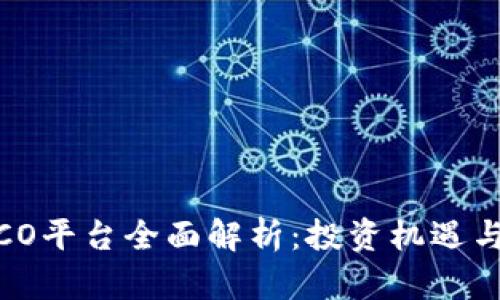 虚拟币ICO平台全面解析:投资机遇与风险并存