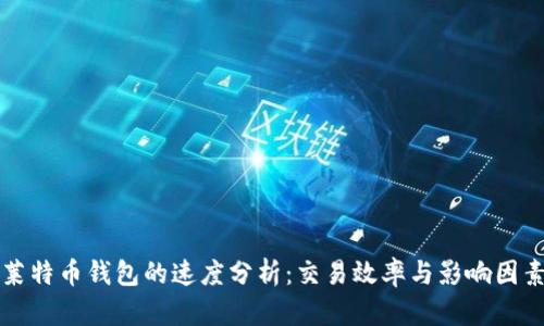 莱特币钱包的速度分析:交易效率与影响因素