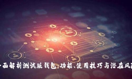 全面解析测试版钱包:功能、使用技巧与潜在风险