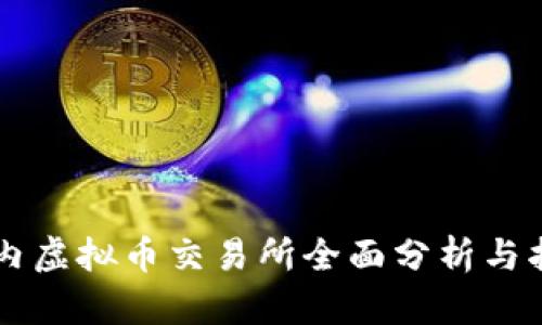 国内虚拟币交易所全面分析与指南