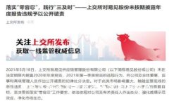 国内虚拟币交易所全面分析与指南