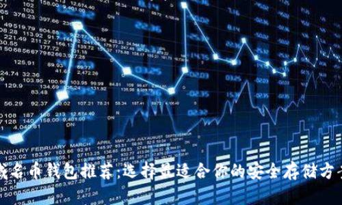 域名币钱包推荐:选择最适合你的安全存储方案