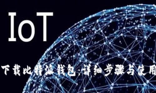 如何下载比特派钱包:详细步骤与使用指南