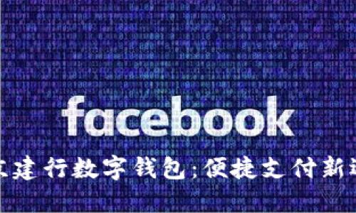北京建行数字钱包：便捷支付新选择
