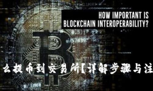 钱包怎么提币到交易所？详解步骤与注意事项