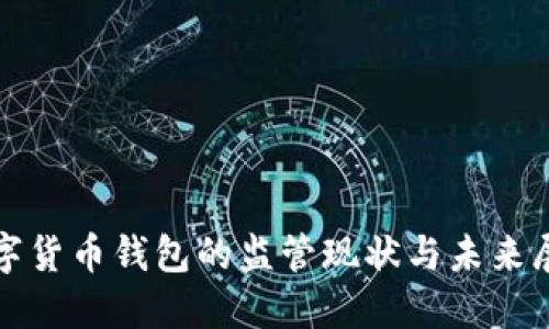 数字货币钱包的监管现状与未来展望