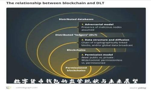 数字货币钱包的监管现状与未来展望