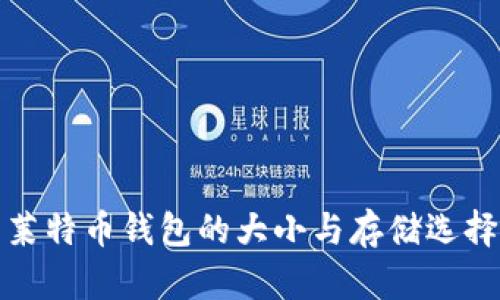 莱特币钱包的大小与存储选择