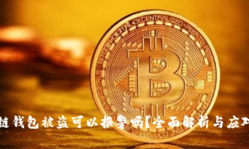 区块链钱包被盗可以报警吗?全面解析与应对策略
