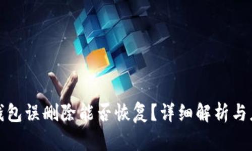 区块链钱包误删除能否恢复?详细解析与应对措施