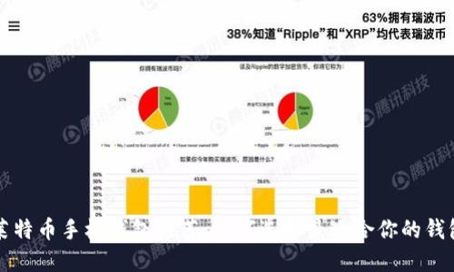 莱特币手机钱包推荐:如何选择最适合你的钱包