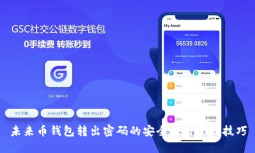 未来币钱包转出密码的安全性与管理技巧
