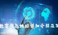 比特币数字钱包地址详细介绍及写法指南
