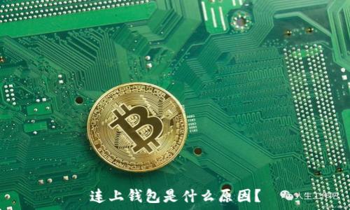   
连上钱包是什么原因？