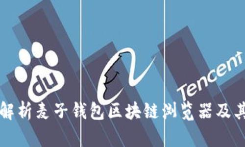 全面解析麦子钱包区块链浏览器及其应用