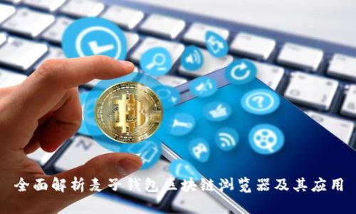 全面解析麦子钱包区块链浏览器及其应用