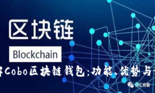 全面了解Cobo区块链钱包:功能、优势与使用指南