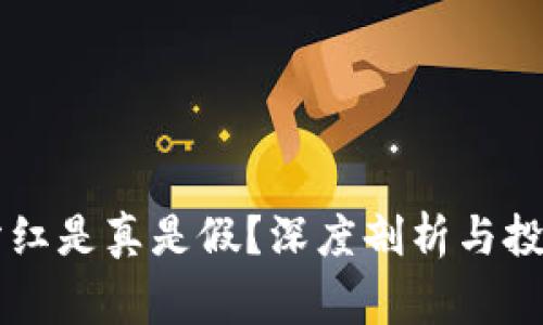币圈钱包分红是真是假？深度剖析与投资注意事项