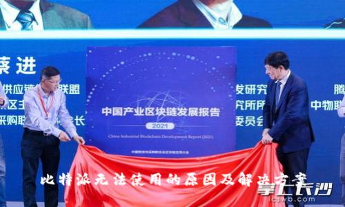 比特派无法使用的原因及解决方案