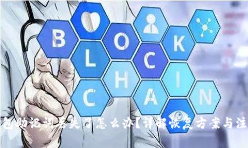 波宝钱包助记词丢失了怎么办?详解恢复方案与注意事项