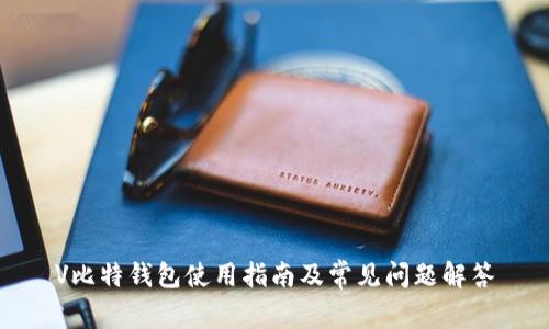 V比特钱包使用指南及常见问题解答