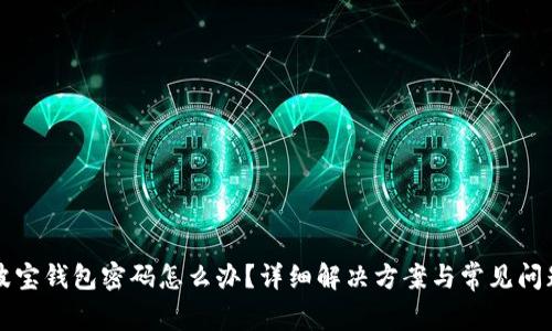 忘记波宝钱包密码怎么办?详细解决方案与常见问题解析