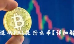 波宝钱包送的PAL是什么币?详细解析与应用