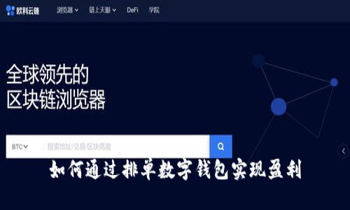 如何通过排单数字钱包实现盈利