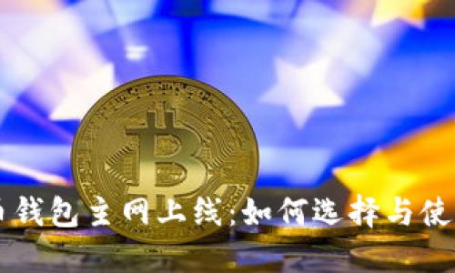 虚拟币钱包主网上线:如何选择与使用指南