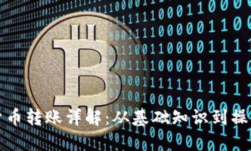 数字货币转账详解:从基础知识到操作指南