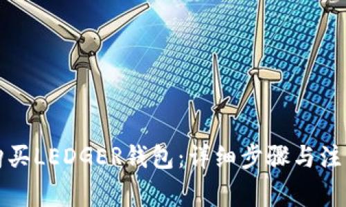 如何购买LEDGER钱包:详细步骤与注意事项