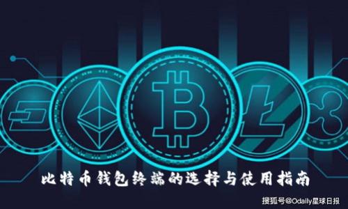 比特币钱包终端的选择与使用指南