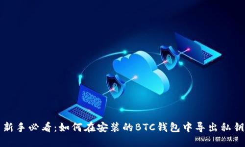 新手必看:如何在安装的BTC钱包中导出私钥