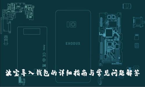 波宝导入钱包的详细指南与常见问题解答