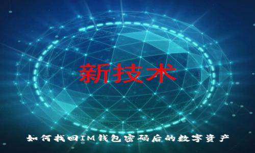 如何找回IM钱包密码后的数字资产