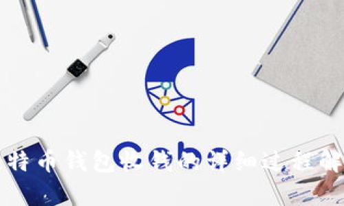 比特币钱包收钱的详细过程解析