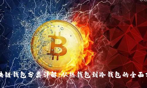 区块链钱包分类详解:从热钱包到冷钱包的全面分析