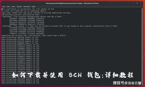 如何下载并使用 BCH 钱包:详细教程